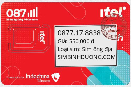 0877.17.8838