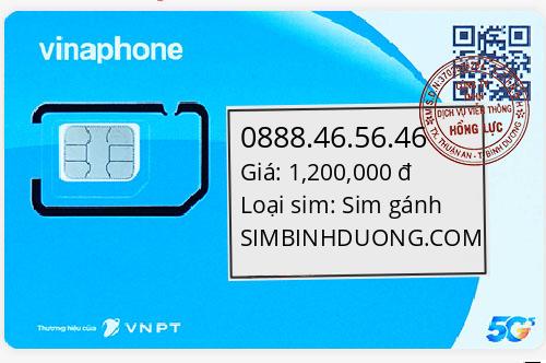 0888.46.56.46